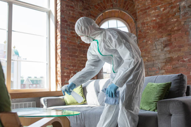 Best Emergency Mold Remediation  in Del Aire, CA