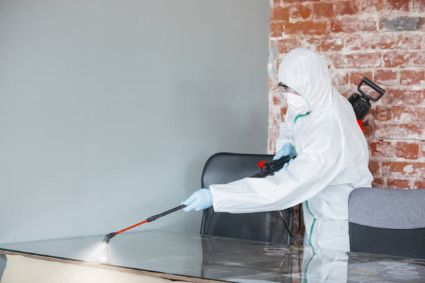 Best Mold Remediation for Healthcare Facilities  in Del Aire, CA